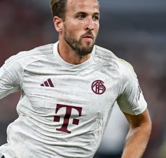 他的视野和 他的视野和