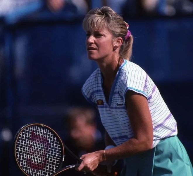 体育中的领 体育中的领